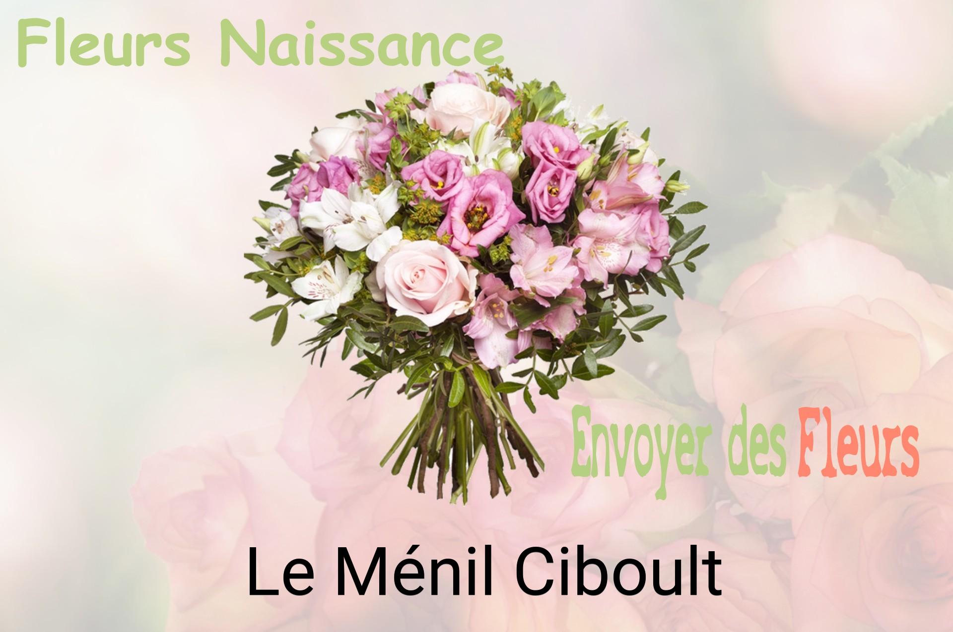 Bouquet de fleurs de naissance livré à Le Ménil-Ciboult