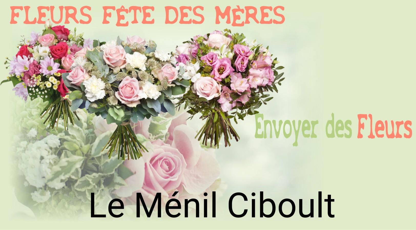 Bouquet de Fête des Mères livré à Le Ménil-Ciboult